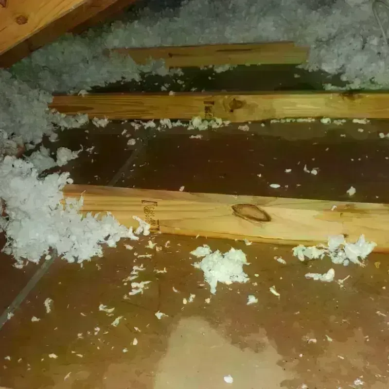 Attic Water Damage in Holtville, CA